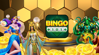 Wingo 101 App